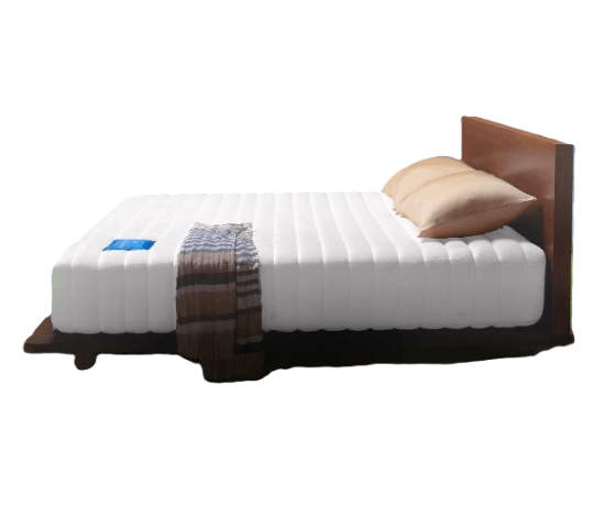 ที่นอนยางพารา Omazz รุ่น Grand Frothingham