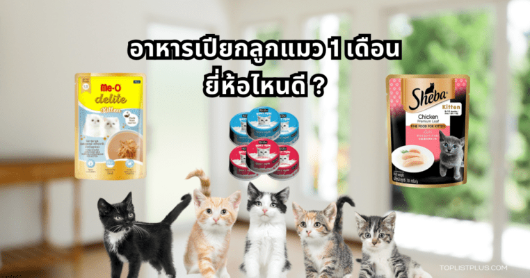 ภาพประกอบบทความแนะนำ อาหารเปียกลูกแมว 1 เดือน ยี่ห้อไหนดี เหมาะสำหรับตกแต่งหน้าปกบทความ SEO