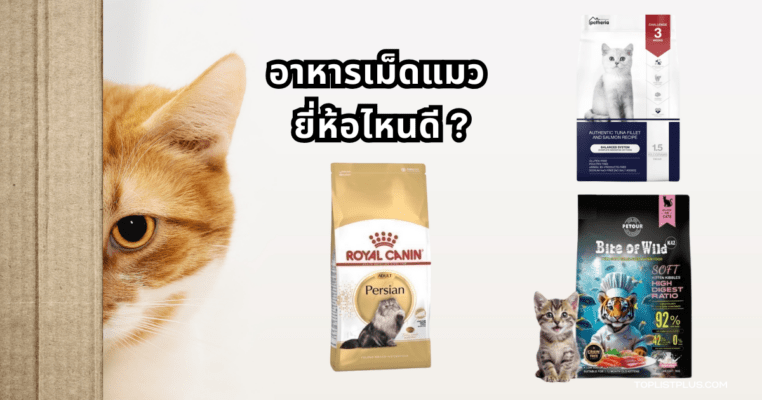 ภาพประกอบบทความ อาหารเม็ดแมว ยี่ห้อไหนดี แสดงบรรยากาศอาหารแมวชนิดเม็ดหลากหลายยี่ห้อในบรรจุภัณฑ์บนพื้นหลังที่ดูสะอาดตา