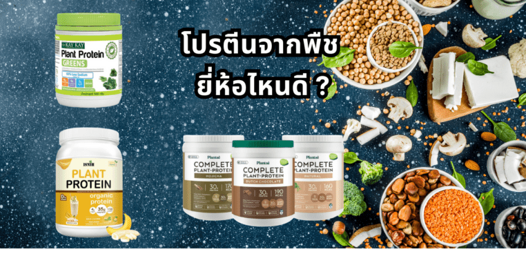 ภาพประกอบบทความโปรตีนจากพืช ยี่ห้อไหนดี แสดงบรรยากาศสุขภาพดีและวัตถุดิบจากพืช