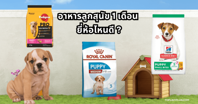ภาพอาหารลูกสุนัข 1 เดือน ยี่ห้อไหนดี สำหรับประกอบบทความแนะนำอาหารที่เหมาะกับลูกสุนัขวัยแรกเกิด