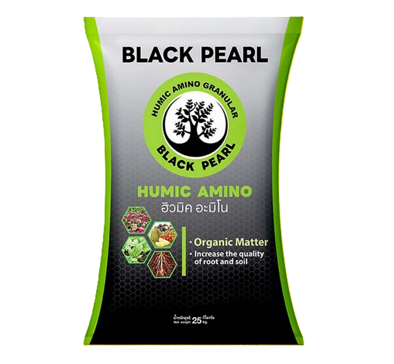 แบล็คเพิร์ล ฮิวมิค อะมิโน