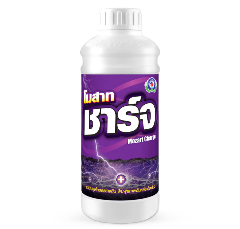 โมสาท ชาร์จ ฮิวมิค แอซิด