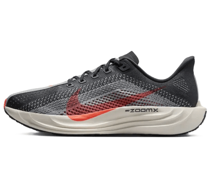 Nike Pegasus Plus