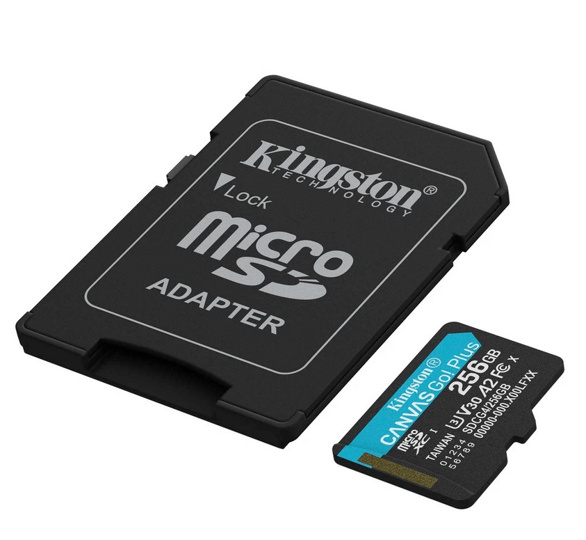 Kingston Canvas Go! Plus