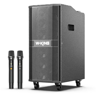 W-King K20