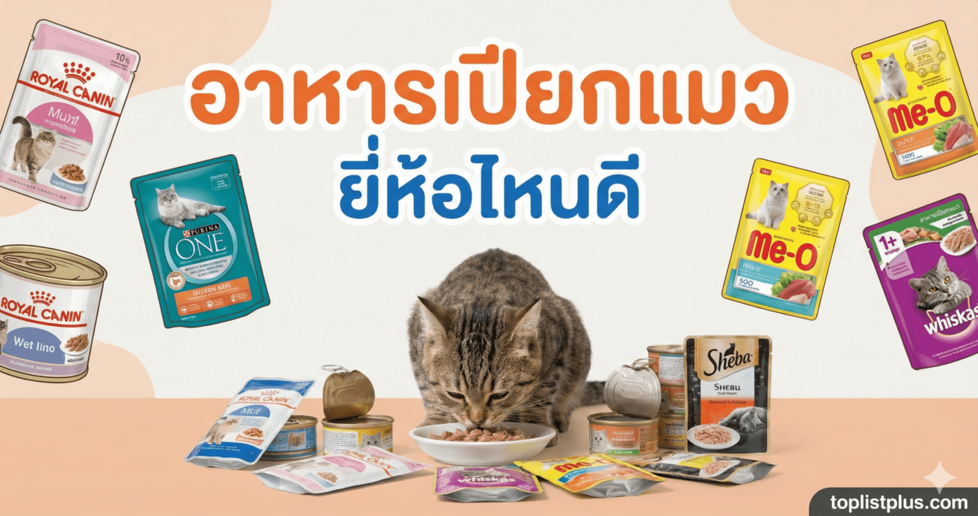 ภาพหน้าปกบทความรีวิวเปรียบเทียบ อาหารเปียกแมว ยี่ห้อไหนดี ที่รวมรูปสินค้าจากแบรนด์ต่างๆ